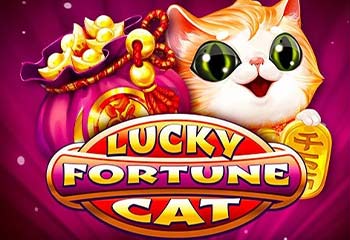 Lucky Fortune Cat